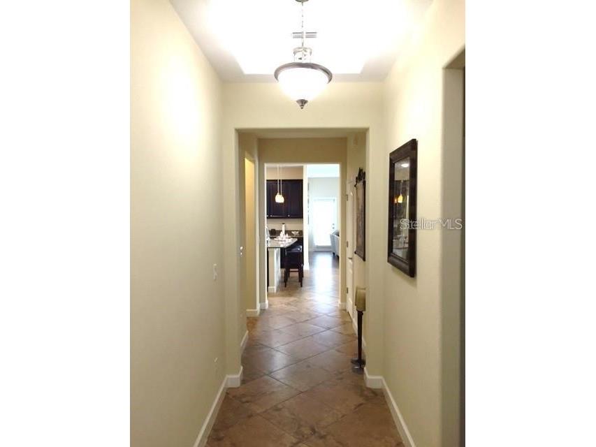 19335 Paddock View Drive Tampa FL 33647 TB8525966 image5
