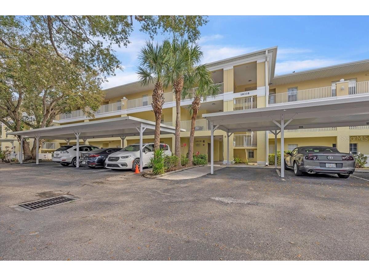 19335 Water Oak Drive #204 Port Charlotte FL 33948 C7522884 image3