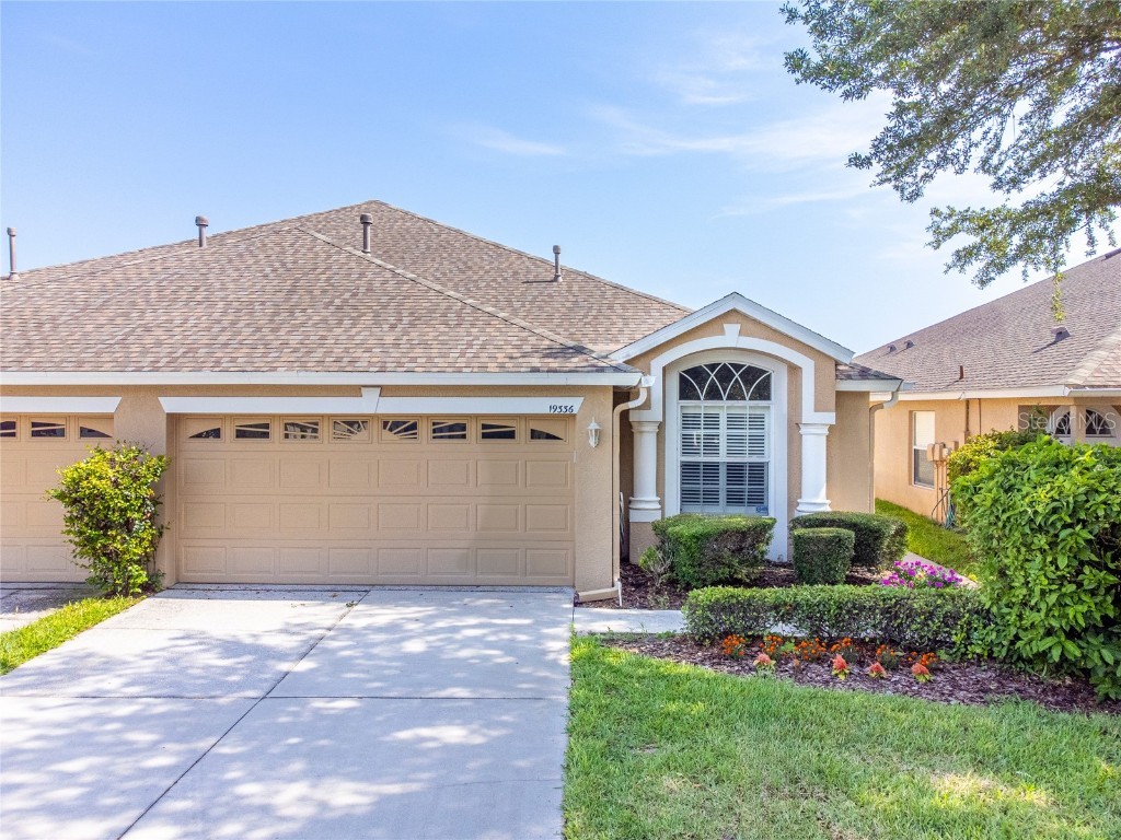19336 Everton Place Land O Lakes FL 34638 T3526872 image1