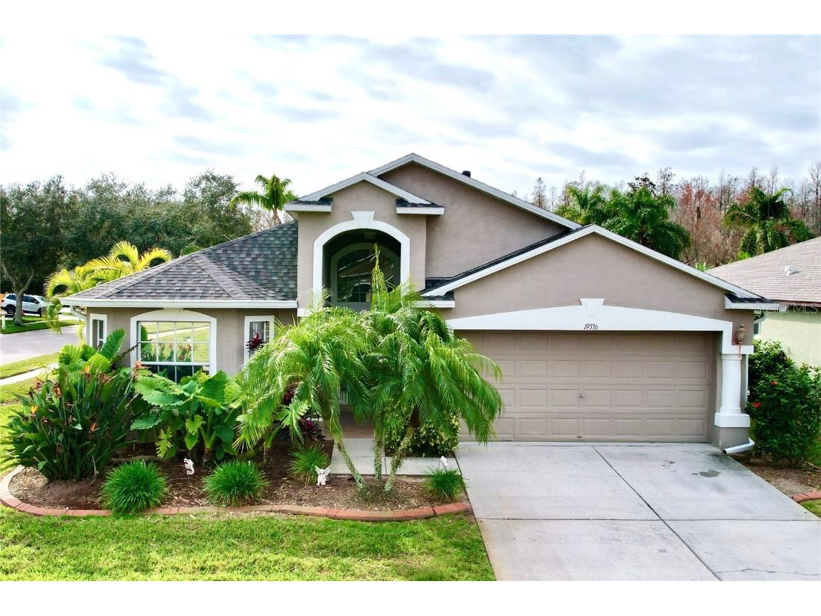 19336 Weedon Court Land O Lakes FL 34638 T3497672 image1