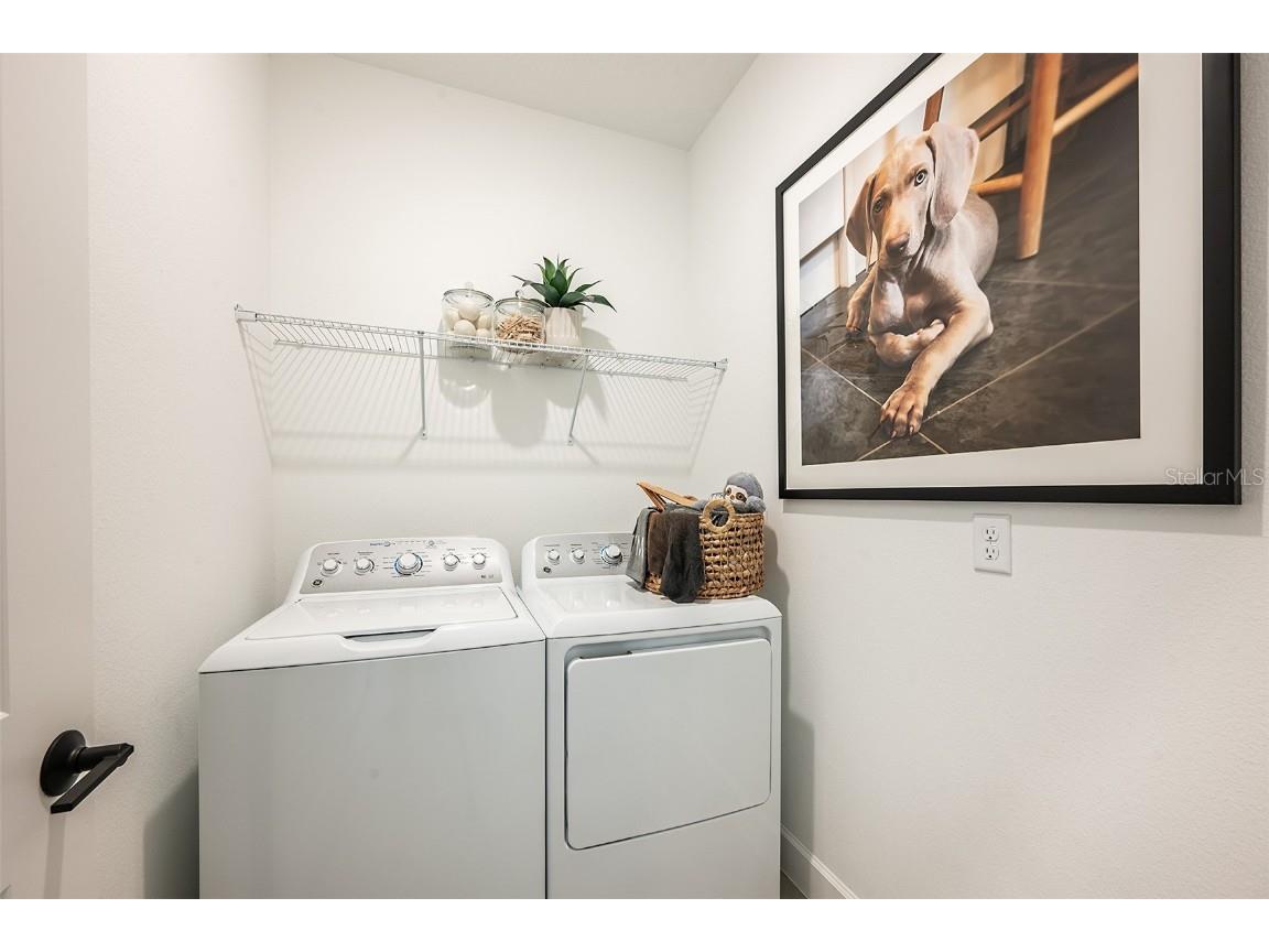 19337 Lochside Lane Mount Dora FL 32757 O6369394 image21