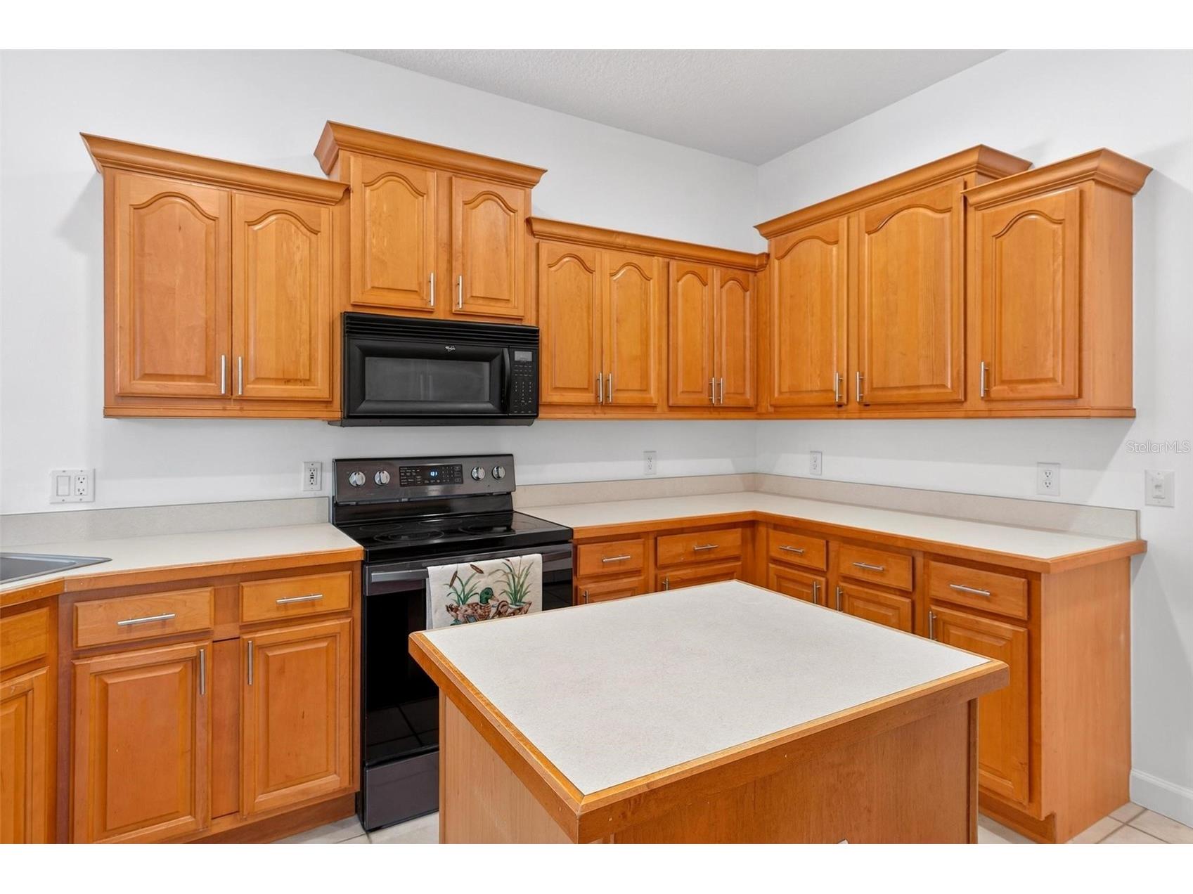 19337 Spring Oak Drive Eustis FL 32736 - LAKE JOANNA G5107958 image27