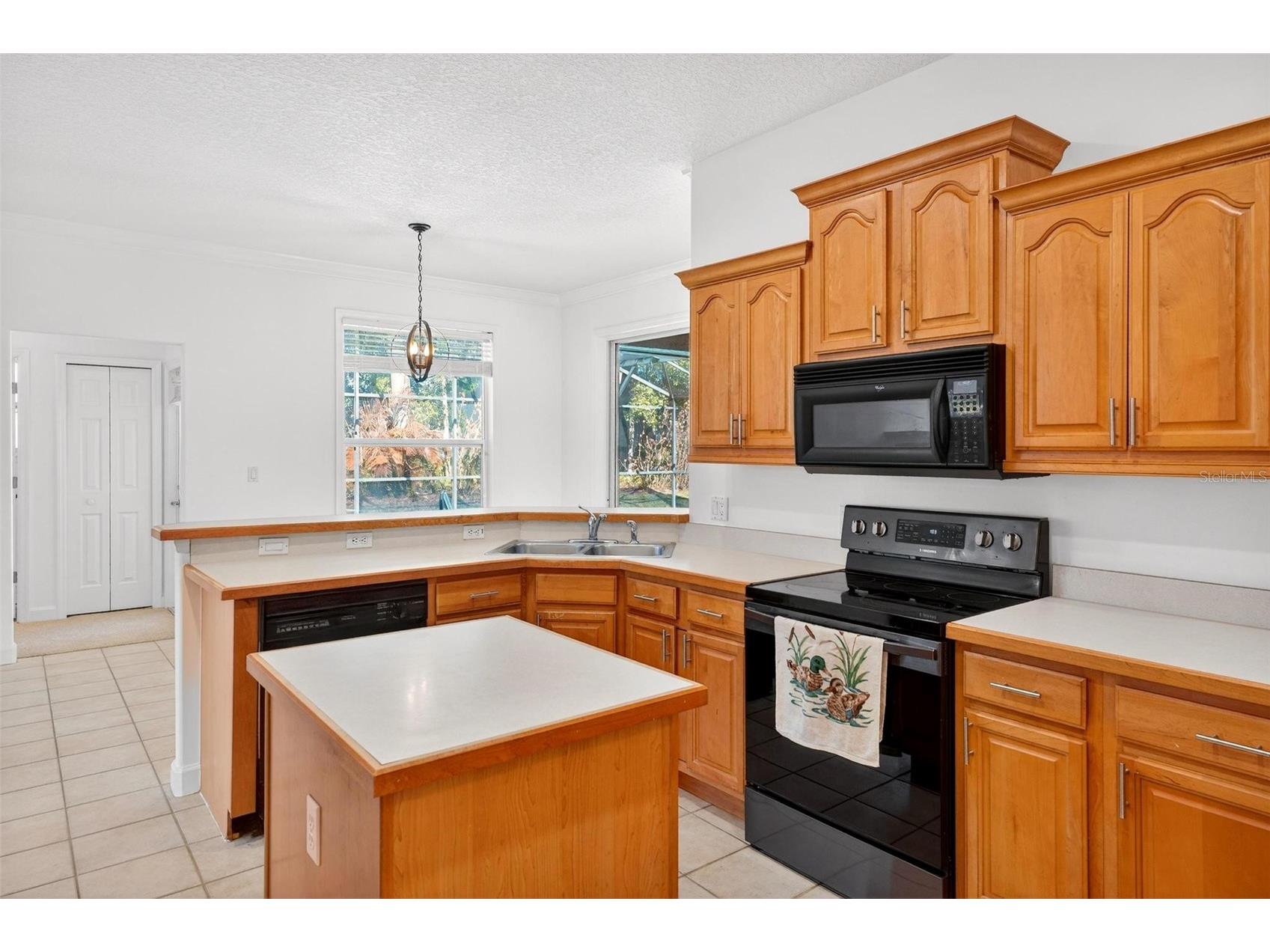 19337 Spring Oak Drive Eustis FL 32736 - LAKE JOANNA G5107958 image29