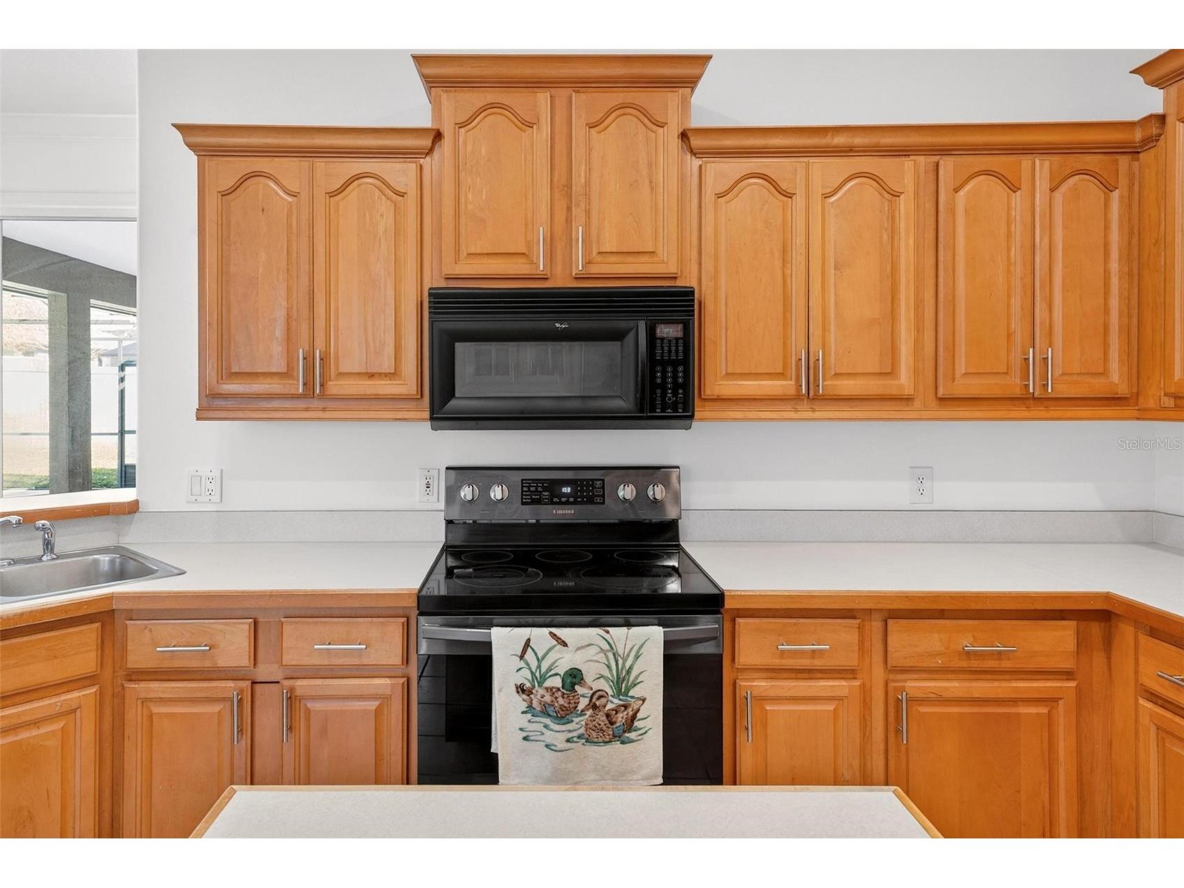 19337 Spring Oak Drive Eustis FL 32736 - LAKE JOANNA G5107958 image30