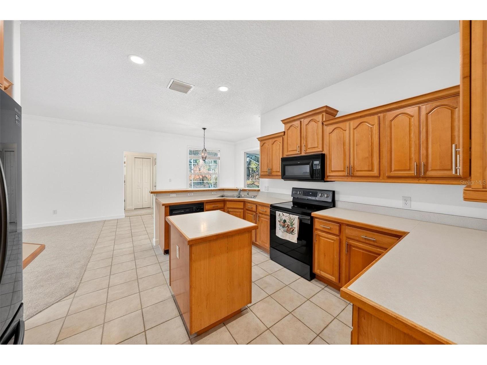 19337 Spring Oak Drive Eustis FL 32736 - LAKE JOANNA G5107958 image31
