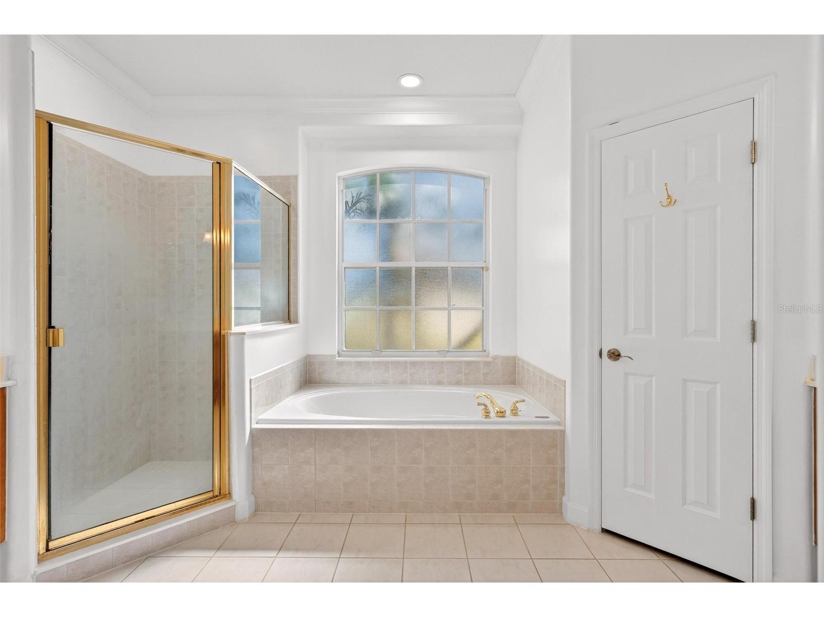 19337 Spring Oak Drive Eustis FL 32736 - LAKE JOANNA G5107958 image43