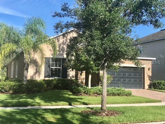 19338 Paddock View Drive Tampa FL 33647 T3534088 image1