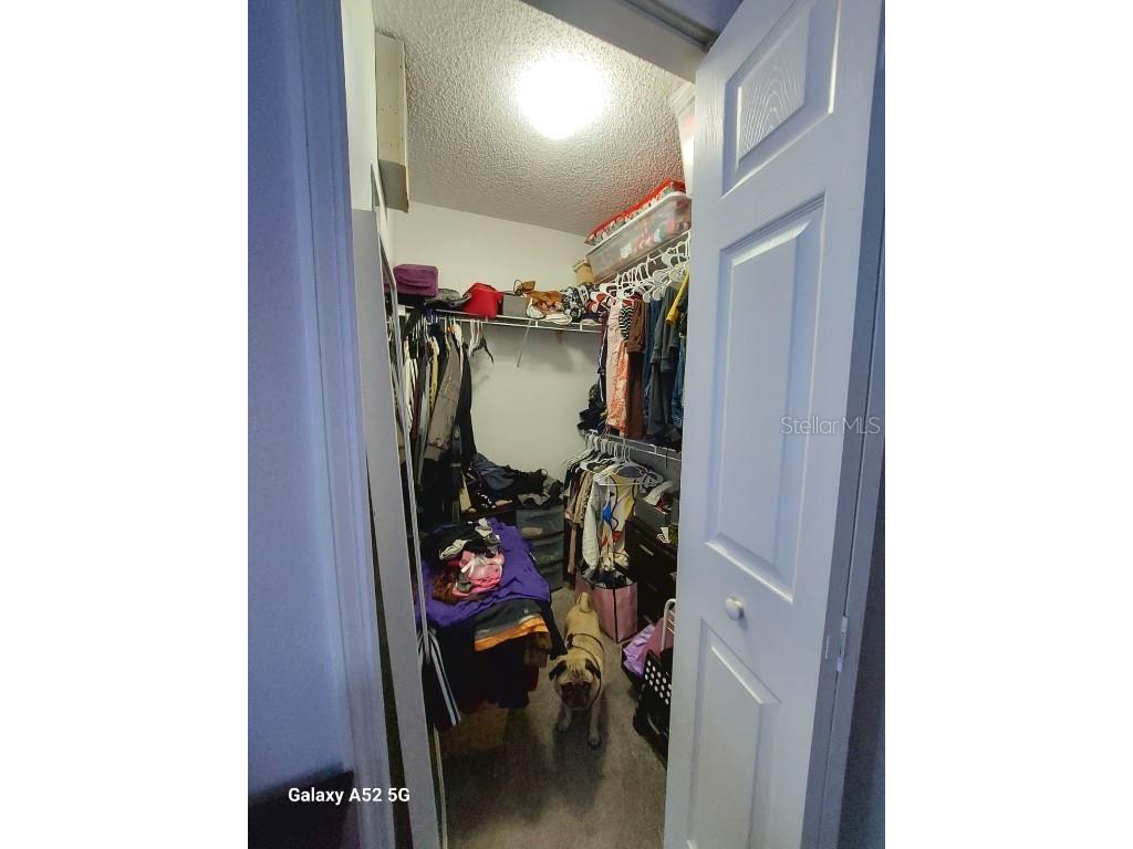 1934 Fenwick Way Casselberry FL 32707 S5134531 image23