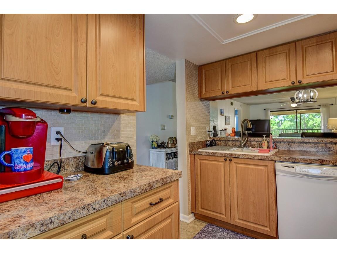 1934 Golfview Drive #1934 Tarpon Springs FL 34689 W7876198 image19