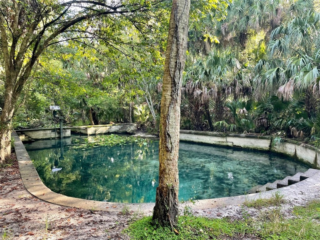 1934 Lost Spring Court Longwood FL 32779 O6364417 image37