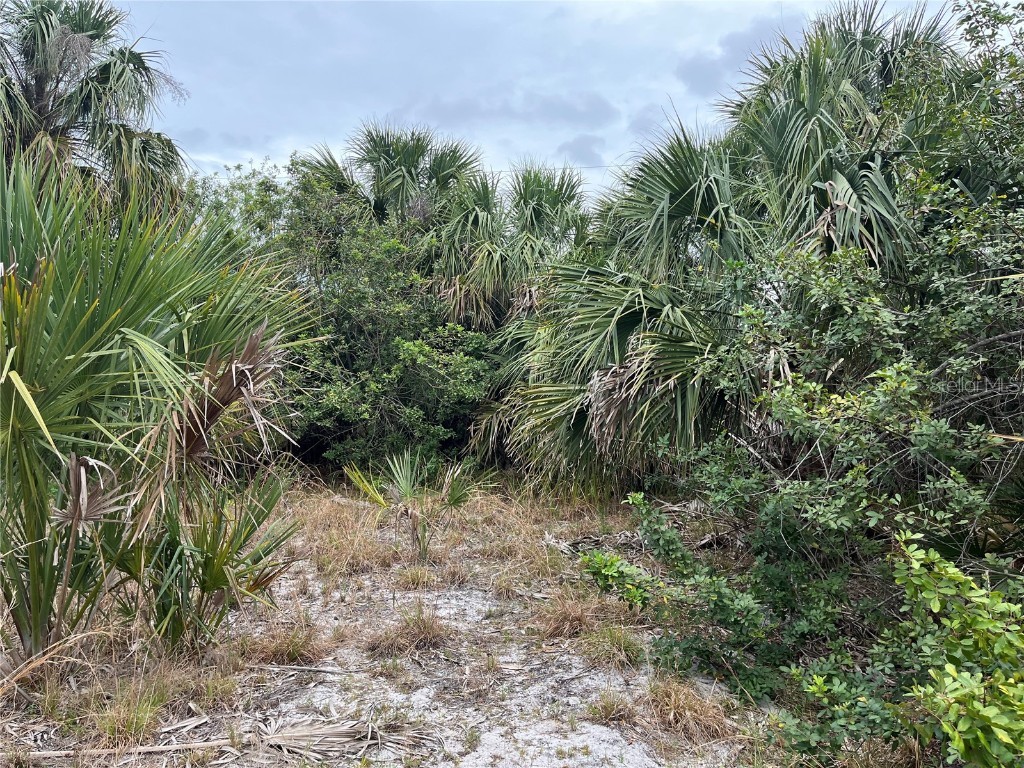 1934 New York Avenue SW Palm Bay FL 32908 OK222681 image1