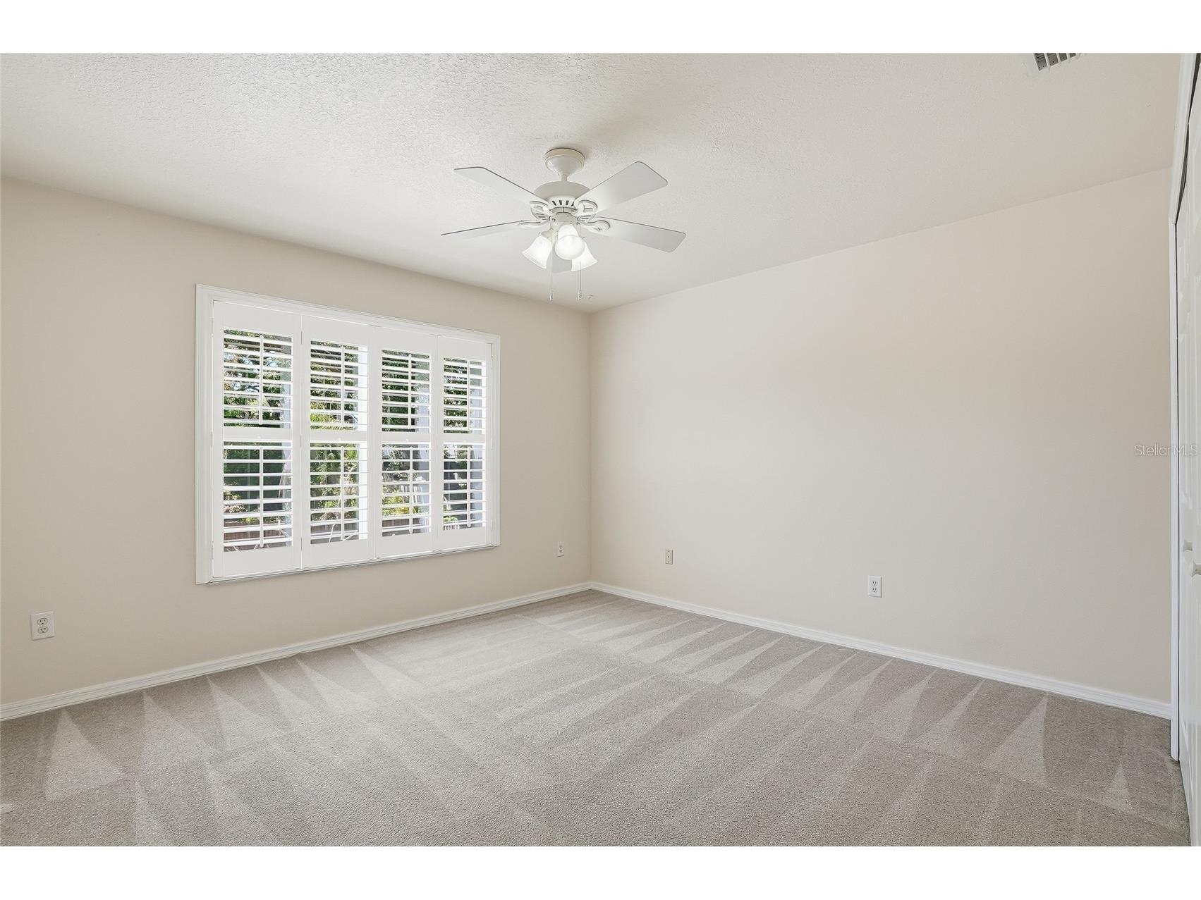 1934 Old Sawmill Road Brandon FL 33510 TB8486562 image31