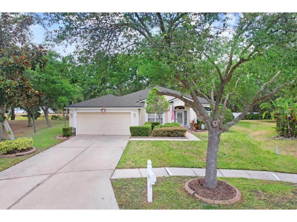 1934 Samantha Lane Valrico FL 33594 TB8383497 image1