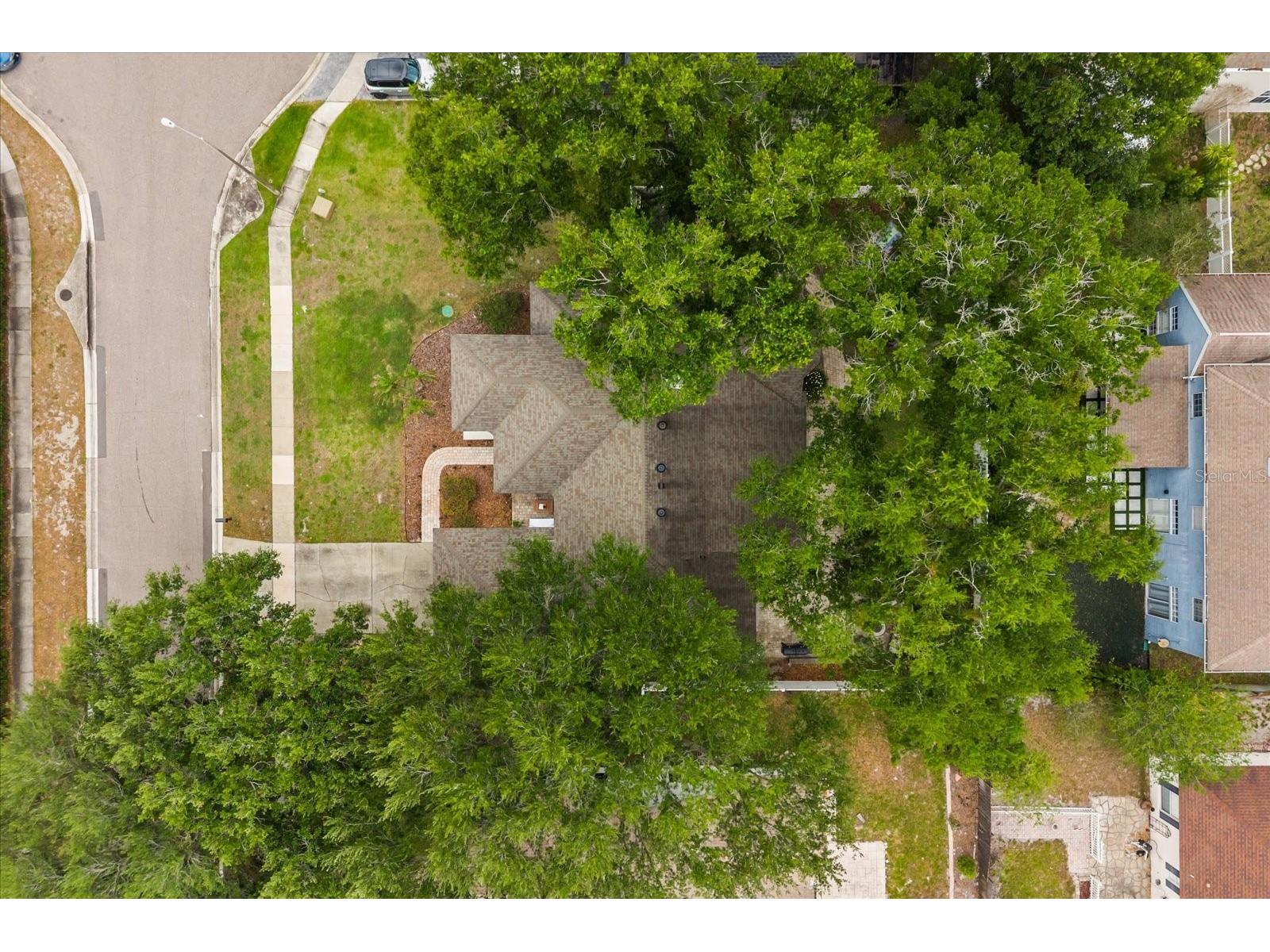 1934 Thoroughbred Drive Gotha FL 34734 O6401305 image42