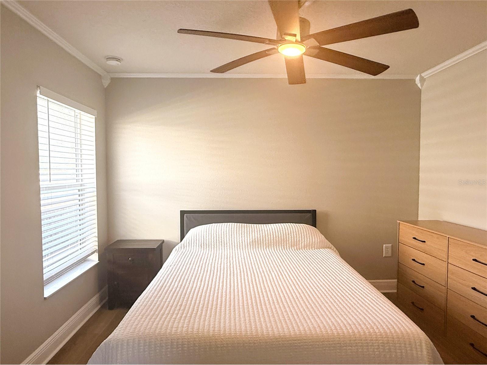 1934 W Spruce Street Tampa FL 33607 TB8516143 image17