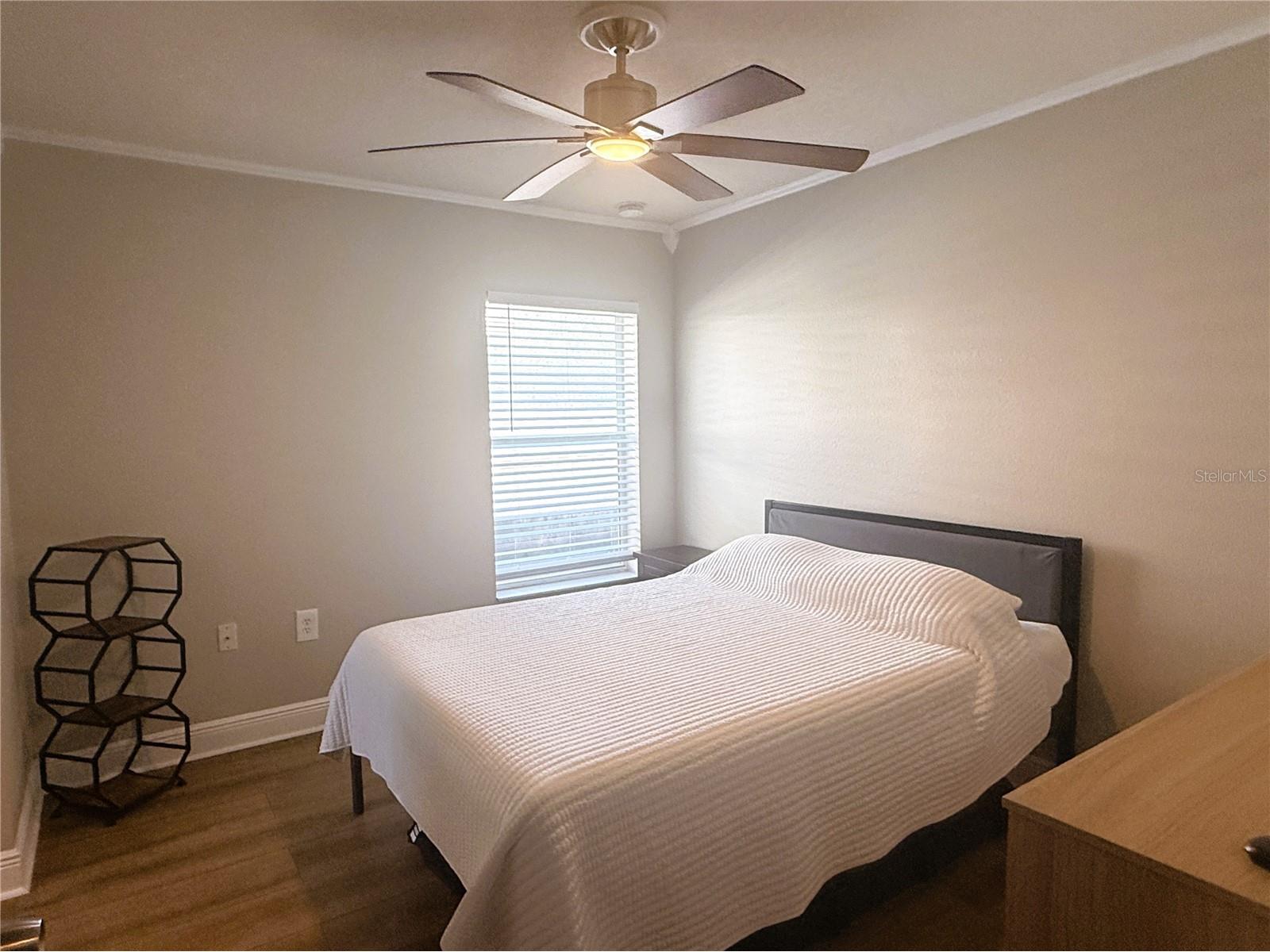 1934 W Spruce Street Tampa FL 33607 TB8516143 image18