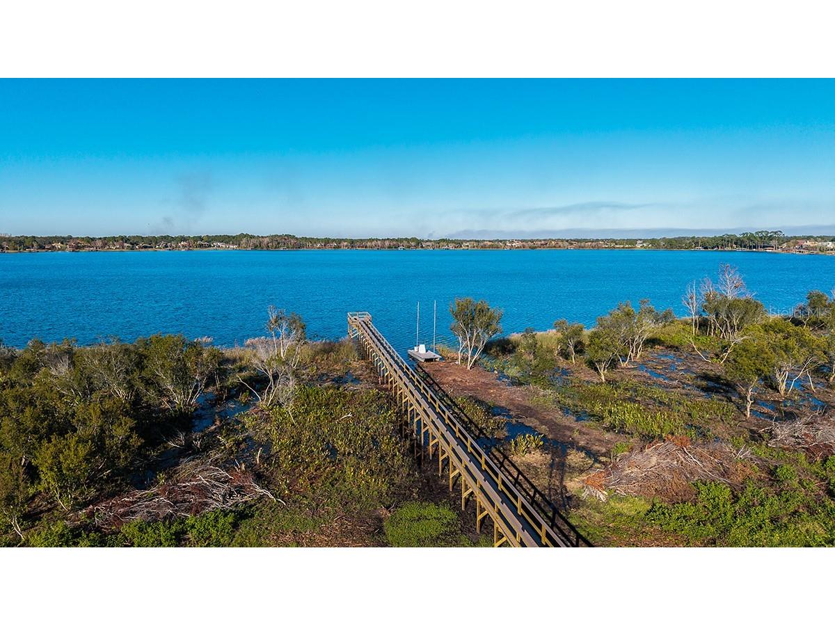 19341 Lochside Lane Mount Dora FL 32757 O6376071 image10