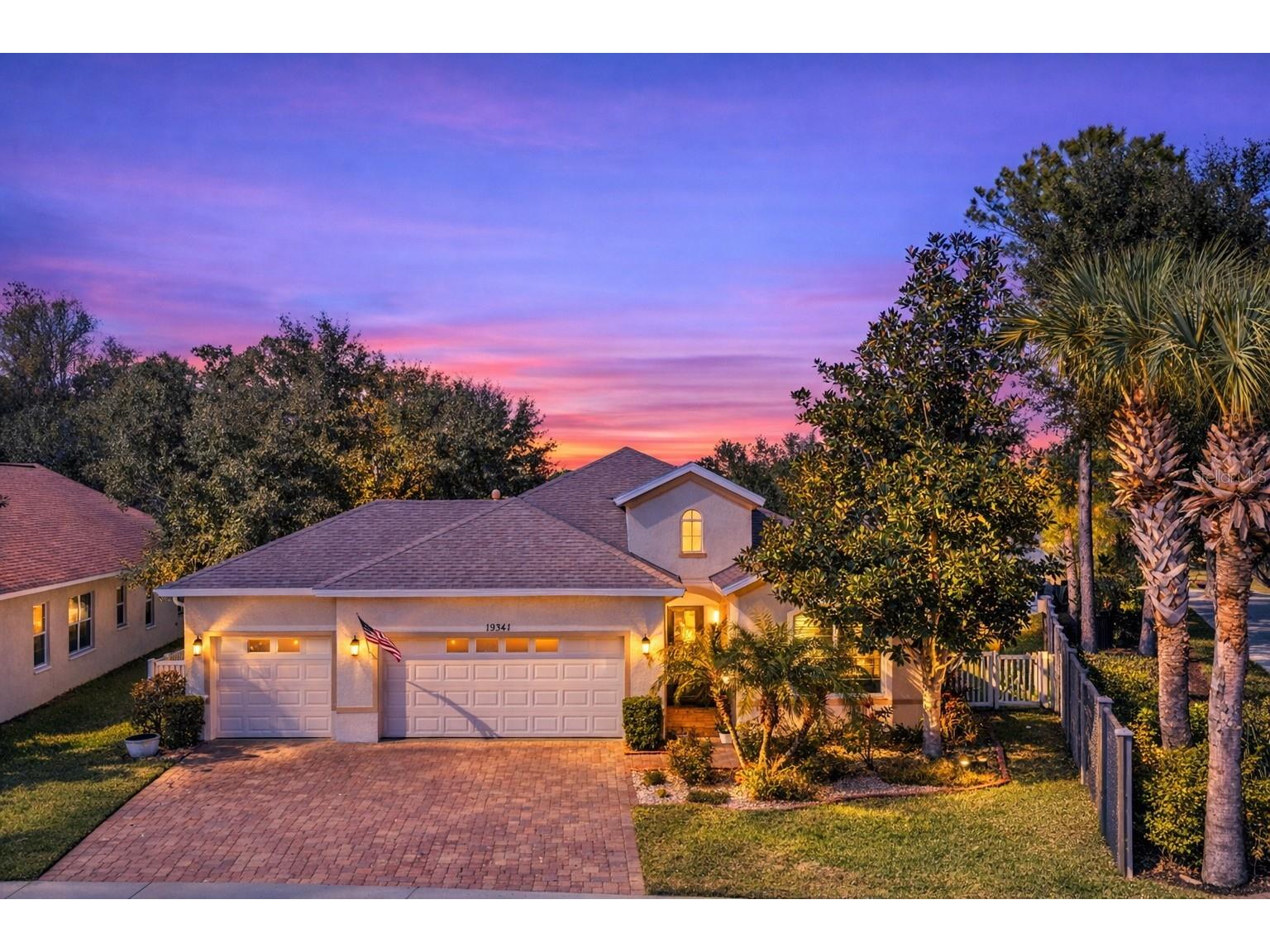 19341 Red Sky Court Land O Lakes FL 34638 TB8469114 image1