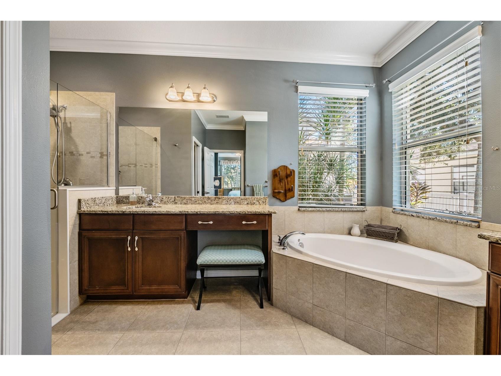 19341 Red Sky Court Land O Lakes FL 34638 TB8469114 image23