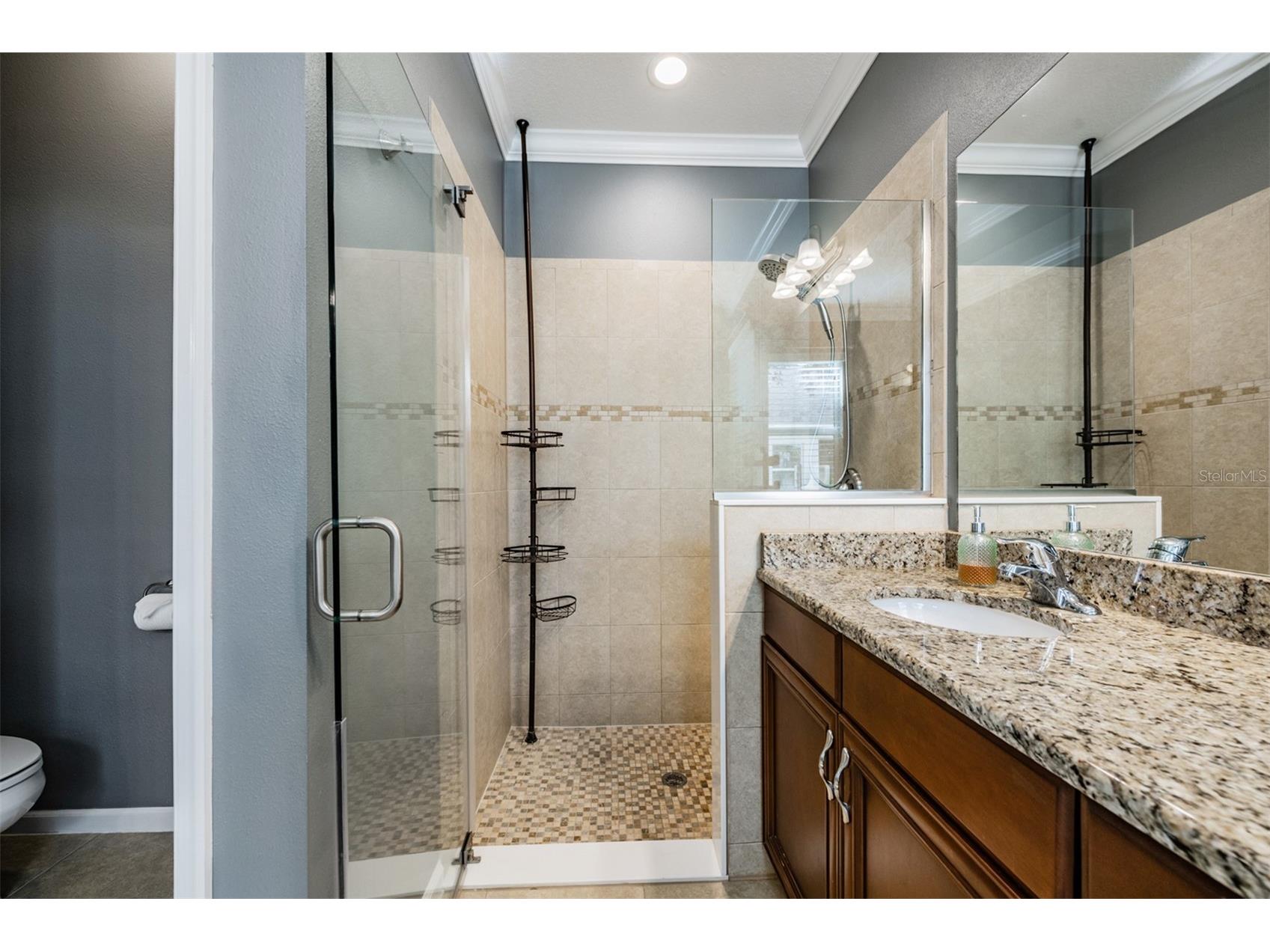 19341 Red Sky Court Land O Lakes FL 34638 TB8469114 image25