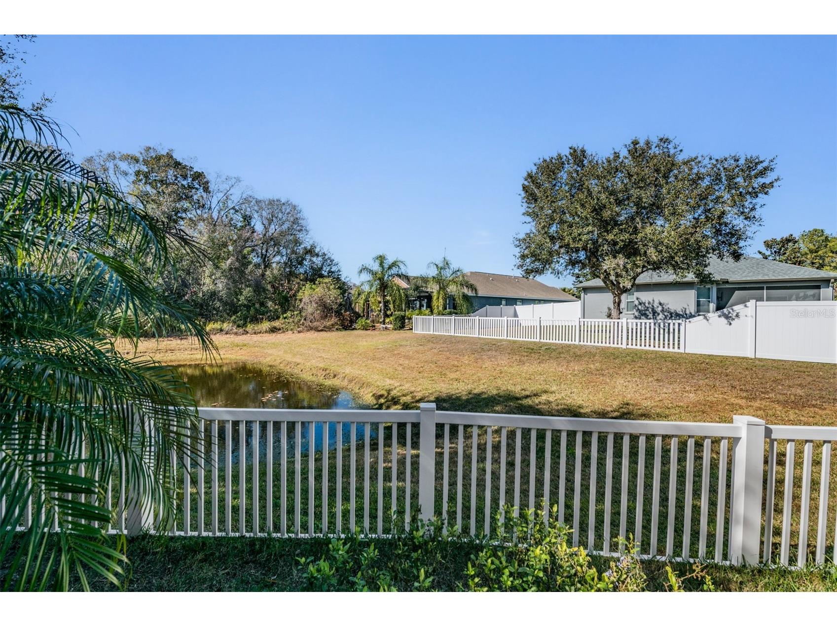 19341 Red Sky Court Land O Lakes FL 34638 TB8469114 image37