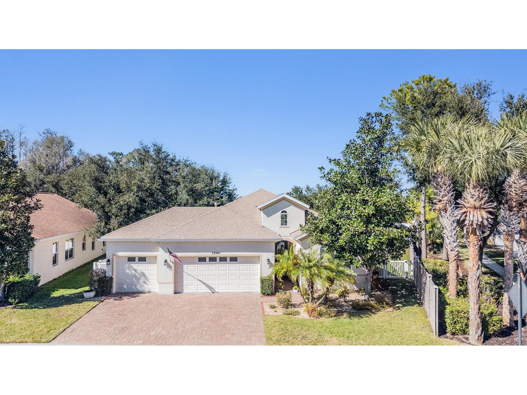 19341 Red Sky Court Land O Lakes FL 34638 TB8469114 image43