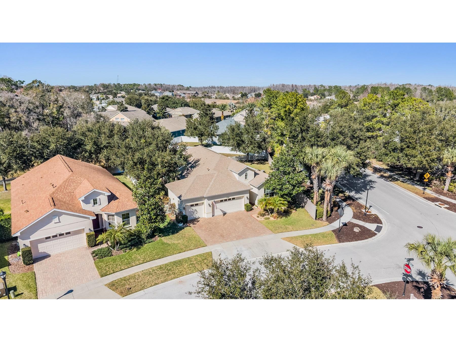 19341 Red Sky Court Land O Lakes FL 34638 TB8469114 image44