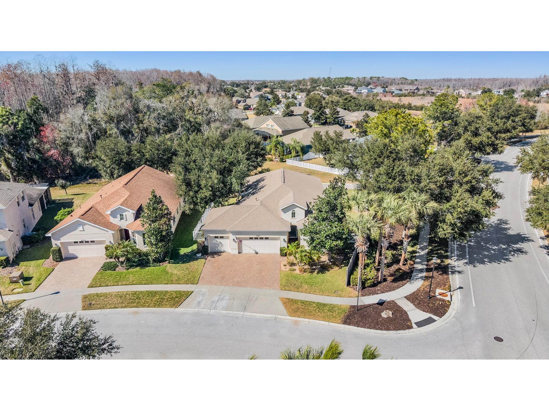 19341 Red Sky Court Land O Lakes FL 34638 TB8469114 image45