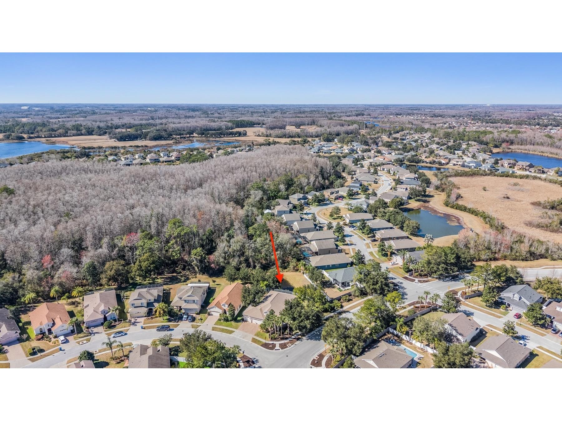 19341 Red Sky Court Land O Lakes FL 34638 TB8469114 image48