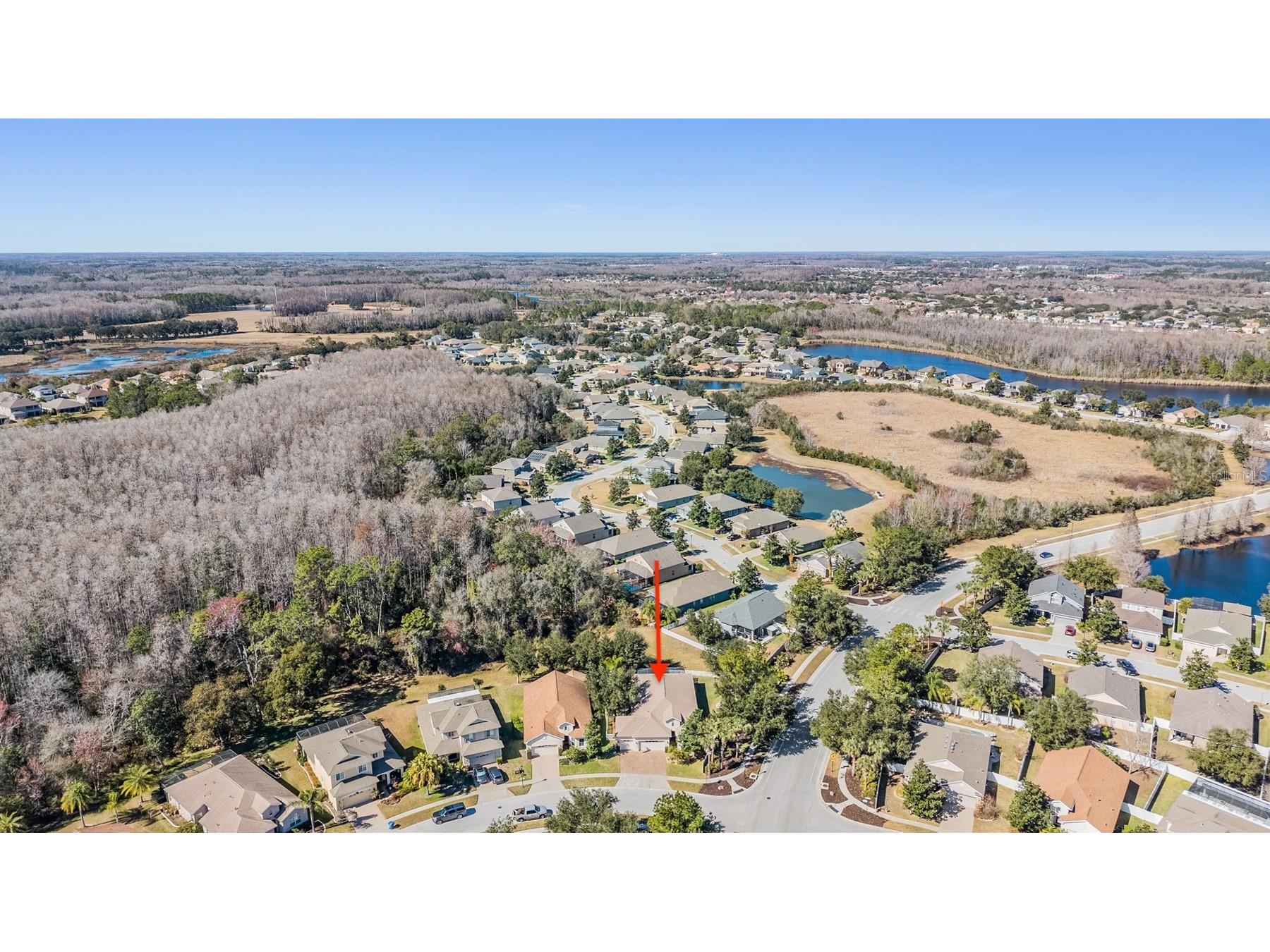 19341 Red Sky Court Land O Lakes FL 34638 TB8469114 image49