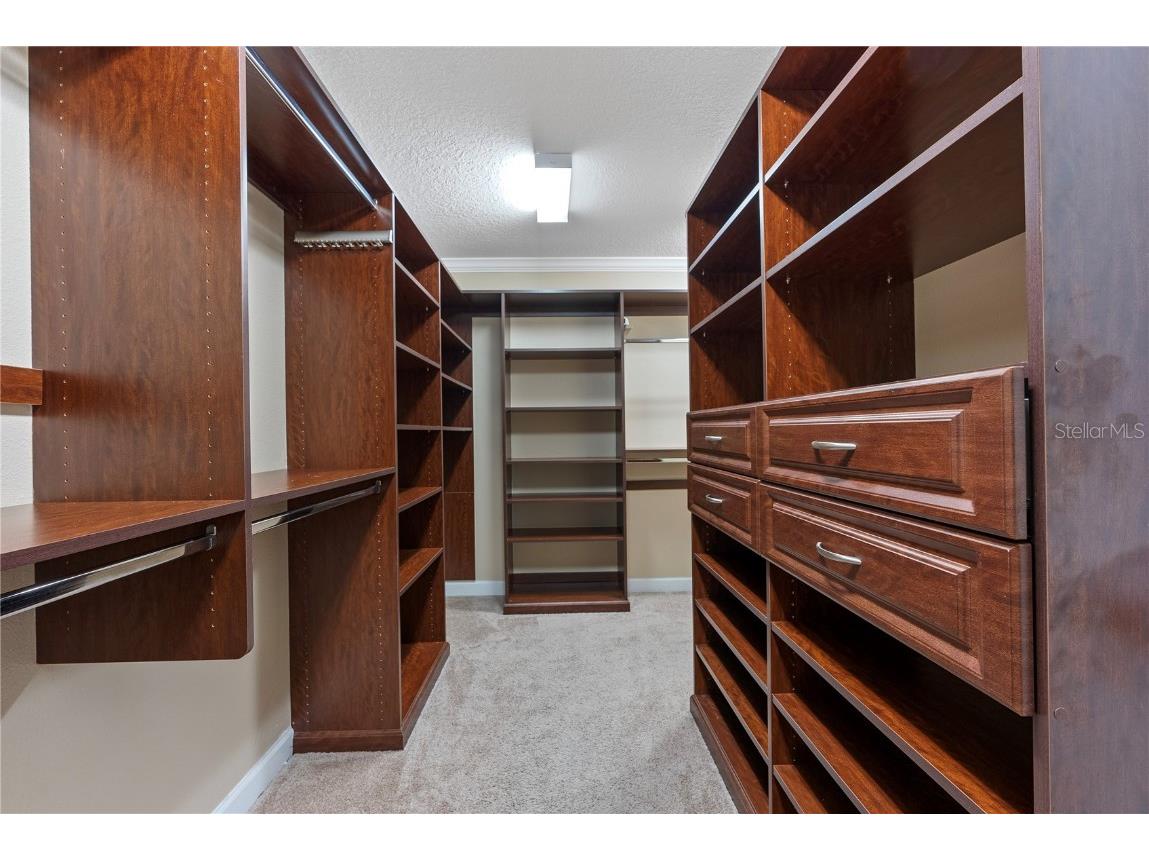 19342 Paddock View Drive Tampa FL 33647 TB8446952 image18