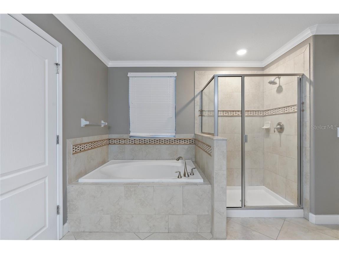 19342 Paddock View Drive Tampa FL 33647 TB8446952 image20