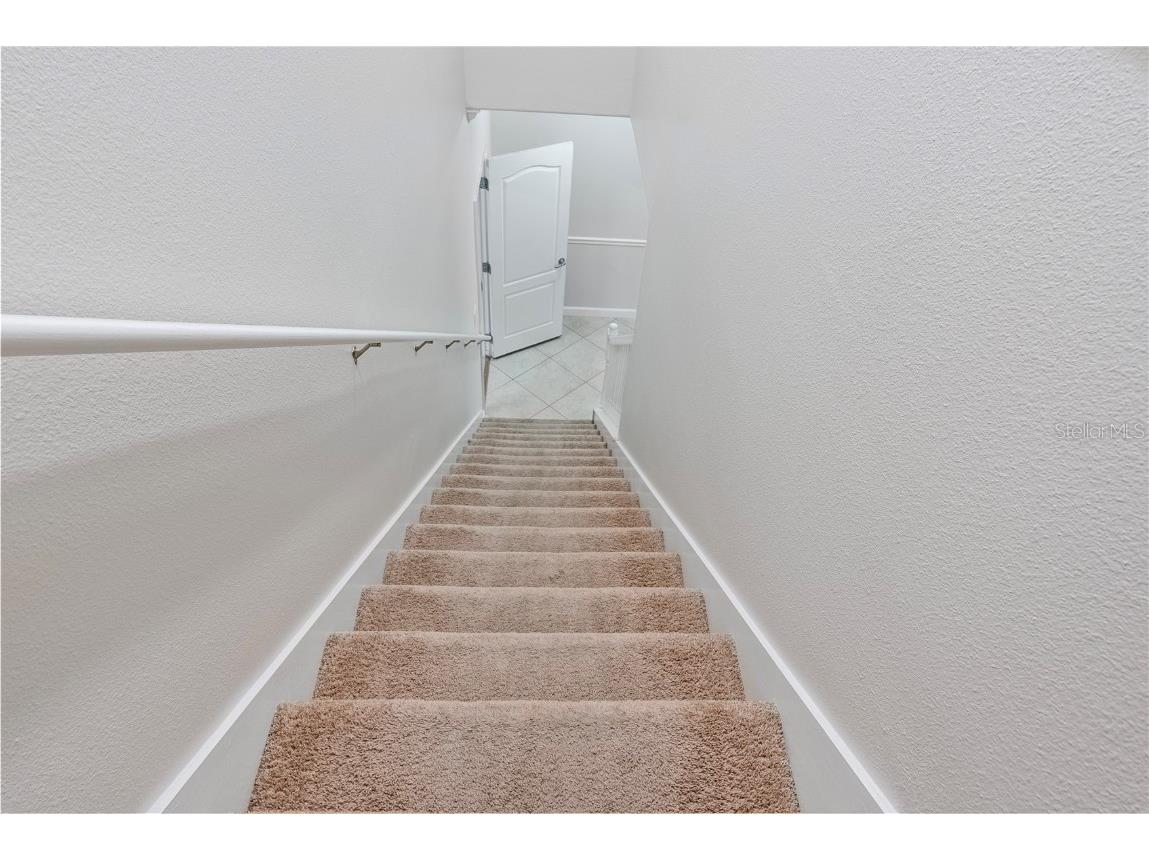 19342 Paddock View Drive Tampa FL 33647 TB8446952 image21