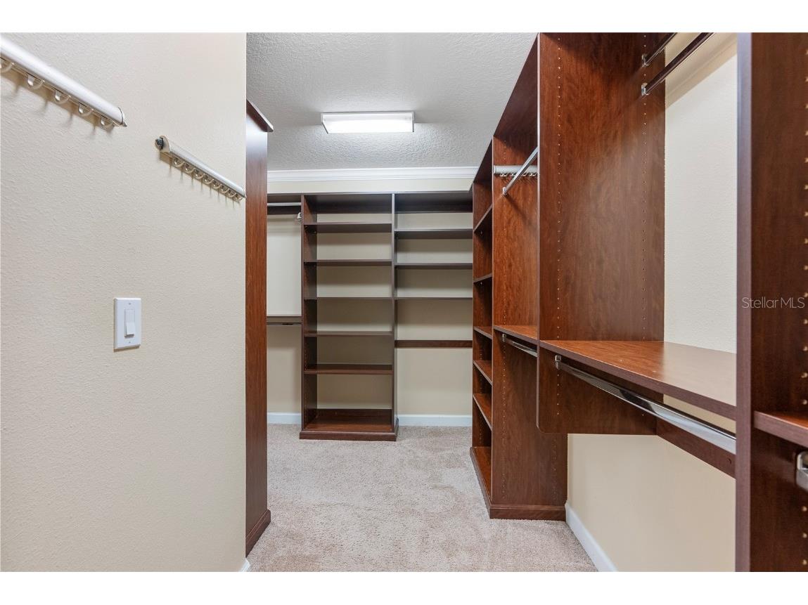 19342 Paddock View Drive Tampa FL 33647 TB8446952 image23