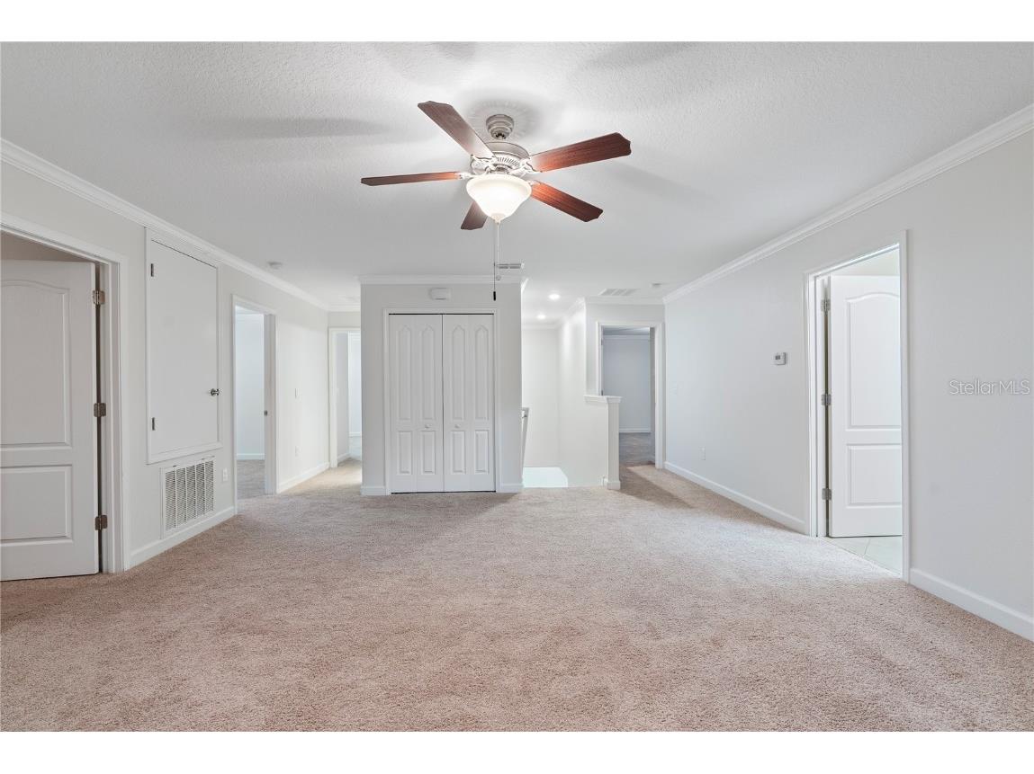 19342 Paddock View Drive Tampa FL 33647 TB8446952 image26