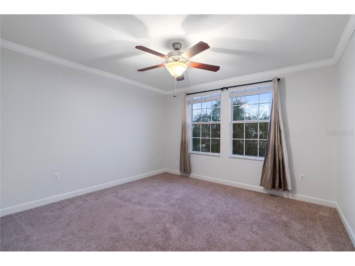 19342 Paddock View Drive Tampa FL 33647 TB8446952 image27