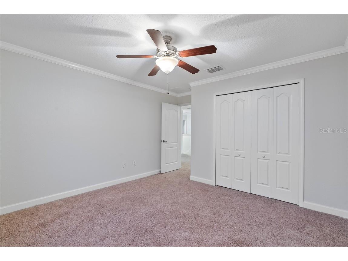 19342 Paddock View Drive Tampa FL 33647 TB8446952 image28