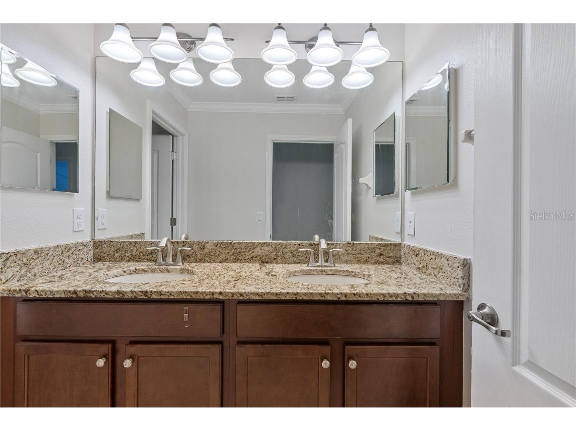 19342 Paddock View Drive Tampa FL 33647 TB8446952 image31