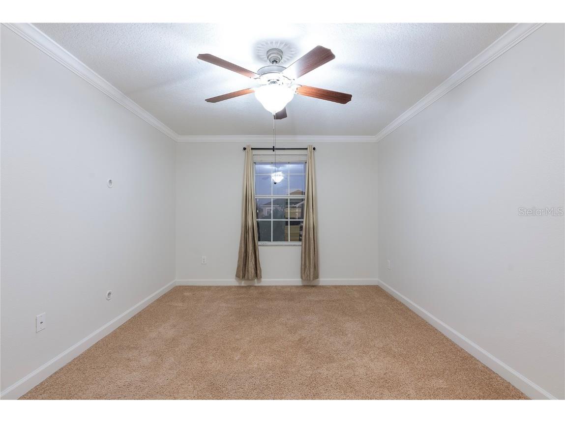 19342 Paddock View Drive Tampa FL 33647 TB8446952 image33