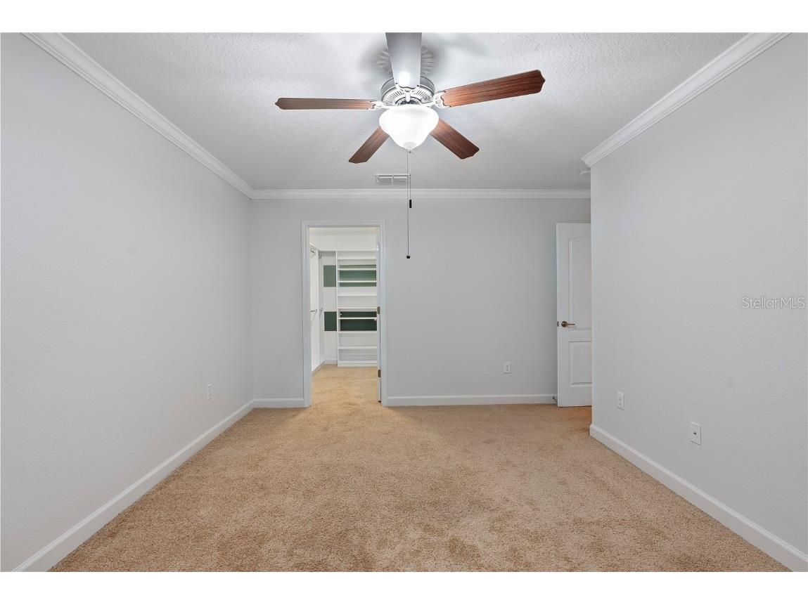 19342 Paddock View Drive Tampa FL 33647 TB8446952 image34