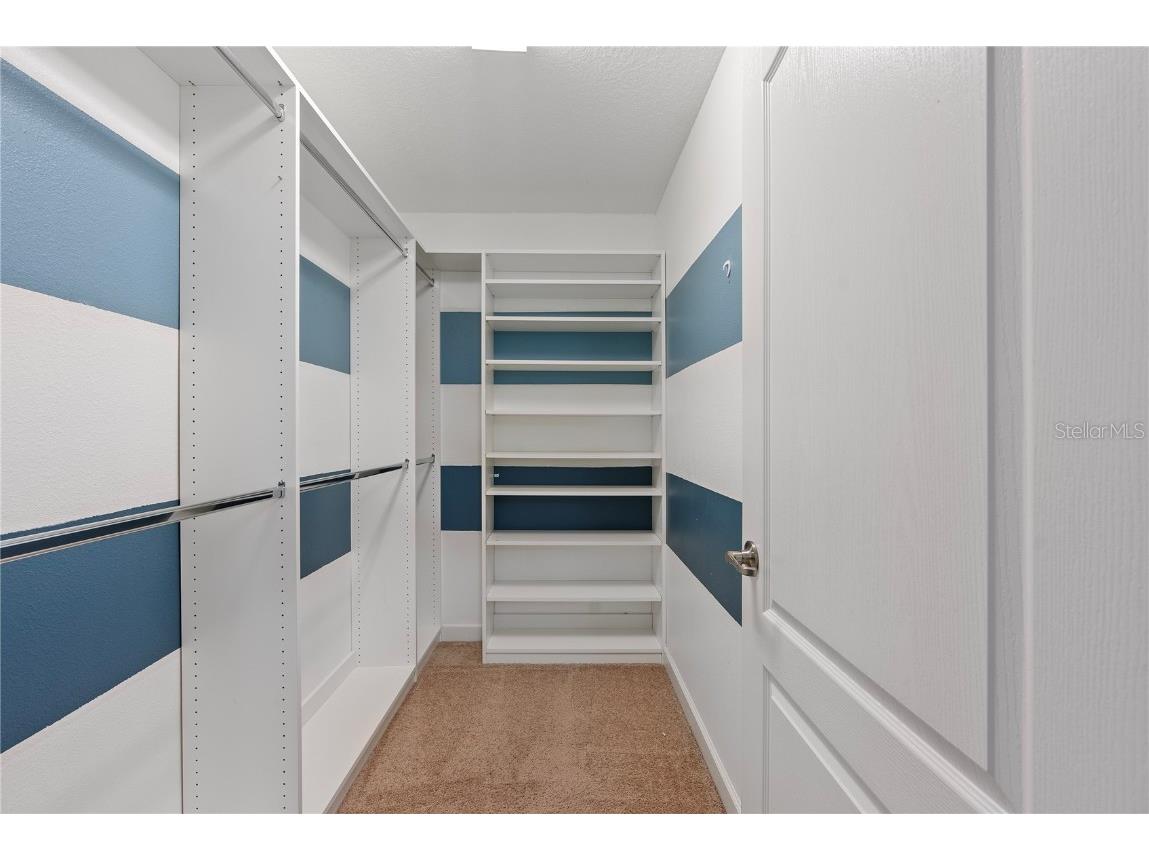 19342 Paddock View Drive Tampa FL 33647 TB8446952 image35