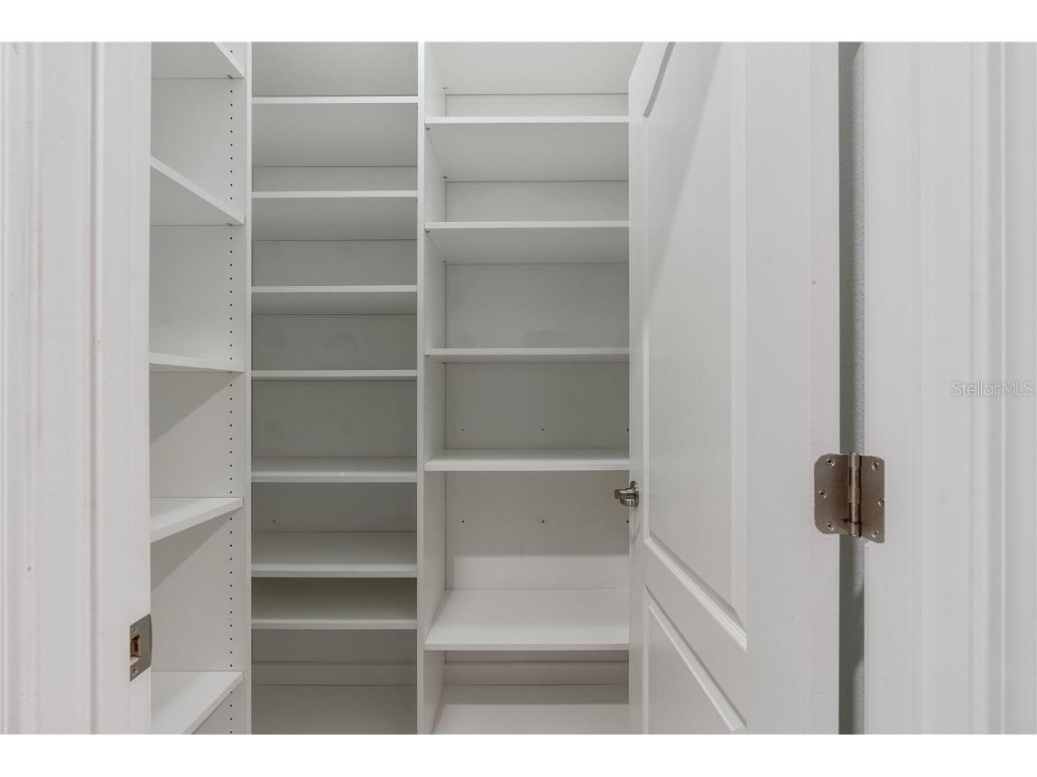 19342 Paddock View Drive Tampa FL 33647 TB8446952 image8