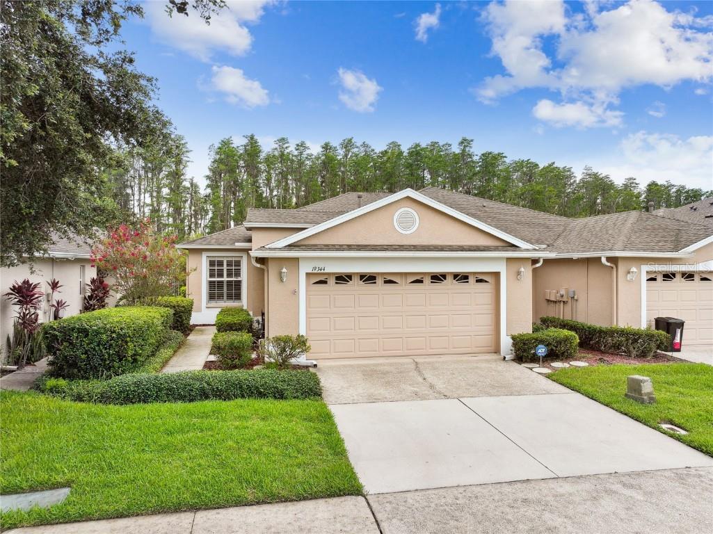 19344 Haskell Place Land O Lakes FL 34638 T3459153 image1