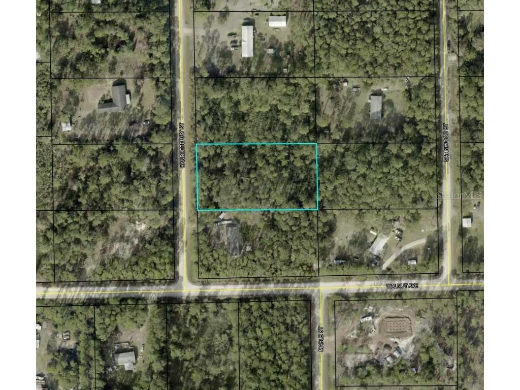 1935 Candleberry Street Bunnell FL 32110 TB8455294 image1