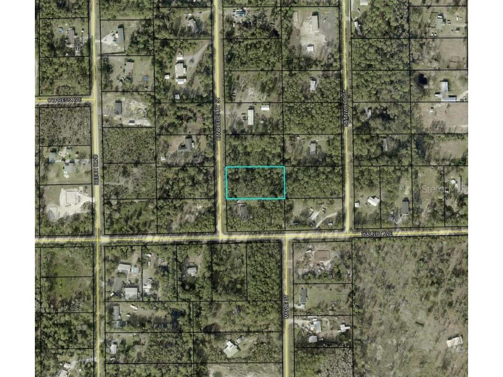 1935 Candleberry Street Bunnell FL 32110 TB8455294 image2