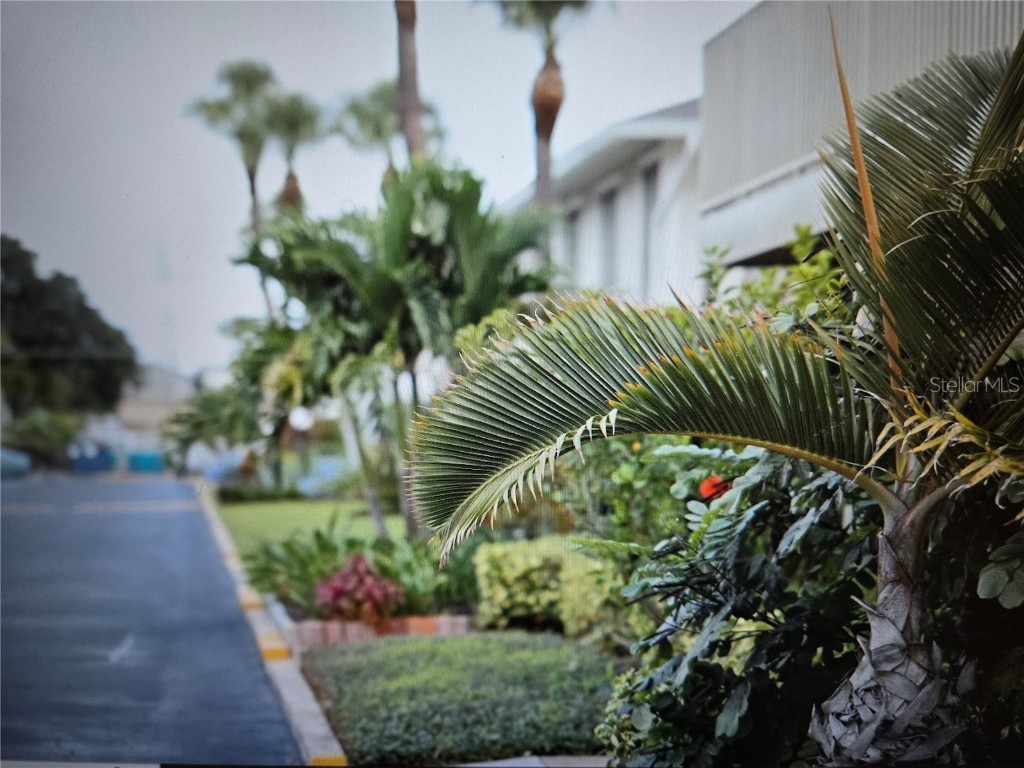 1935 Conway Drive #05 Orlando FL 32812 G5101272 image13