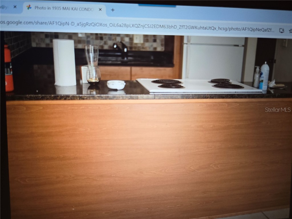 1935 Conway Drive #05 Orlando FL 32812 G5101272 image33