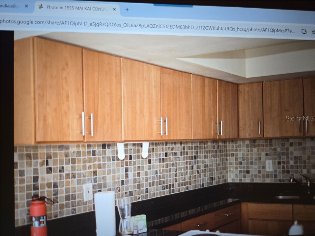 1935 Conway Drive #05 Orlando FL 32812 G5101272 image35