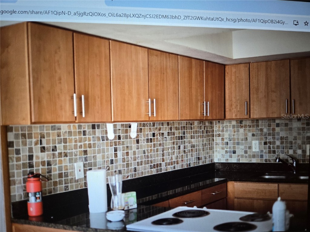 1935 Conway Drive #05 Orlando FL 32812 G5101272 image36