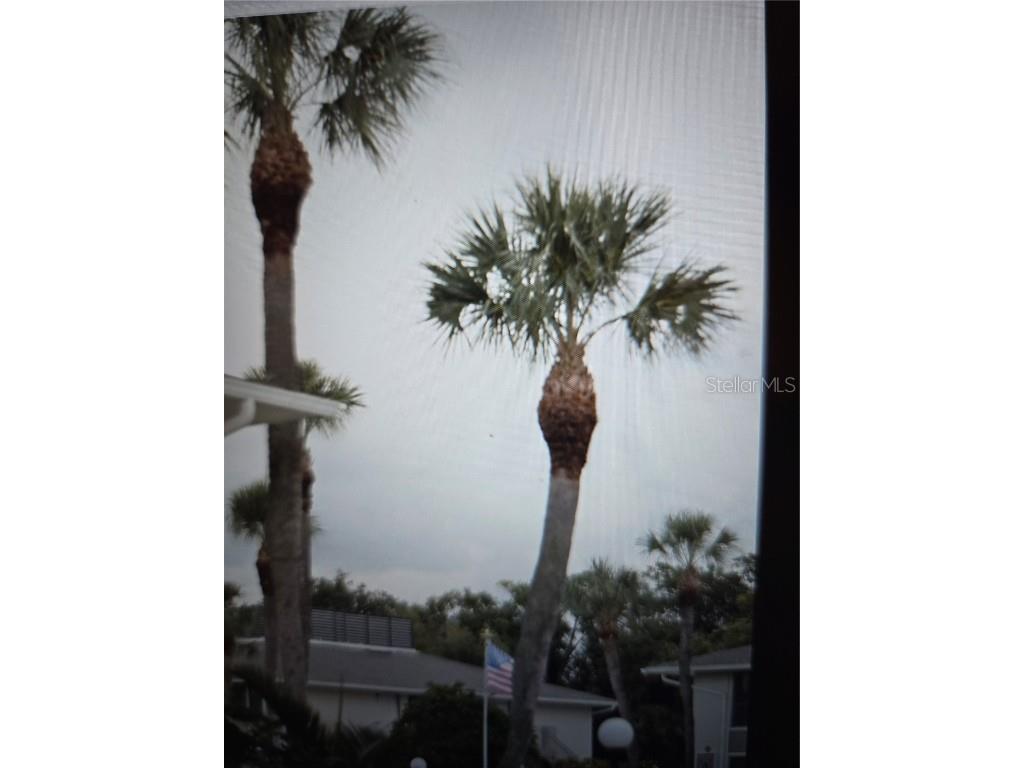 1935 Conway Drive #05 Orlando FL 32812 G5101272 image6